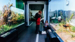 Preț muzee București 2025, cât costă o vizită la muzeu