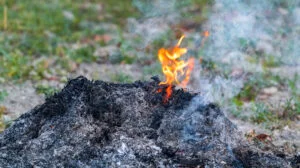 Reguli pentru toți românii. Interzis să dai foc în aer liber. Amenzi de până la 30.000 de lei