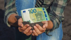 Statul a dat bani în septembrie. Peste 152 de milioane de euro distribuite în două luni pentru agricultură