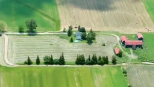 Terenul nelucrat te poate costa scump Ce trebuie să știi despre pârloagă