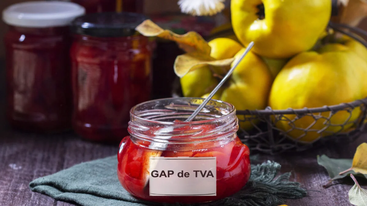 Gemul bunicii și problema TVA nu a fost o gafă. Dan Boabeș: Tehnic a avut dreptate, dar situația e mai complexă