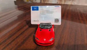 permis de conducere sofer