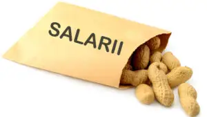 Salariul minim nu va creşte în 2026. Guvernul e decis să plafoneze salariile: România nu şi-o permite anul viitor