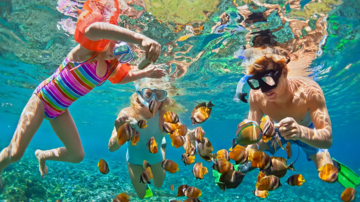 snorkeling, diving, corali, recif