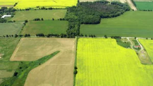 Blocarea accesului la propriul teren sau casă Drepturile tale explicate simplu