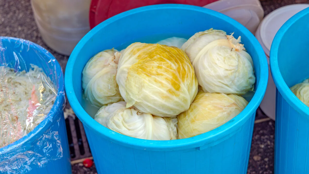 varză murată