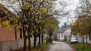 Vremea se încălzește treptat: temperaturi de până la 22°C, dar ploile continuă în unele regiuni