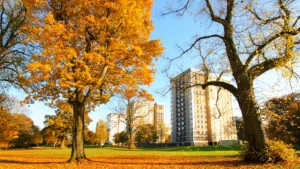 Ce trebuie să ştie proprietarii despre Legea 1962018. Cine are drepturi în relația cu asociația proprietarul sau chiriașul