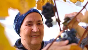 Cine poate primi indemnizații, pensii speciale și facilități gratuite din partea statului Explicațiile CNPP