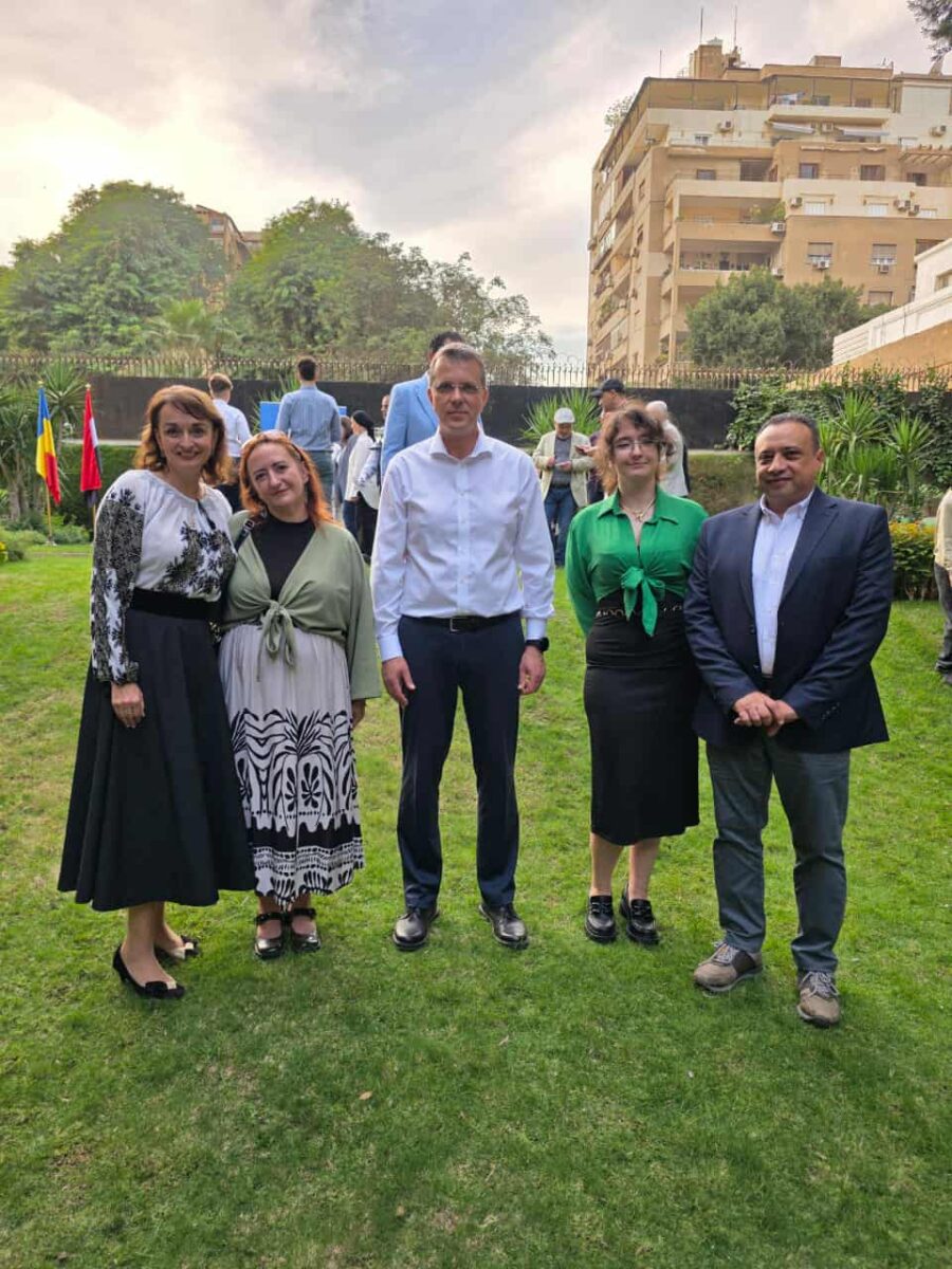 Comunitate Egipt, Ionut Mosteeanu