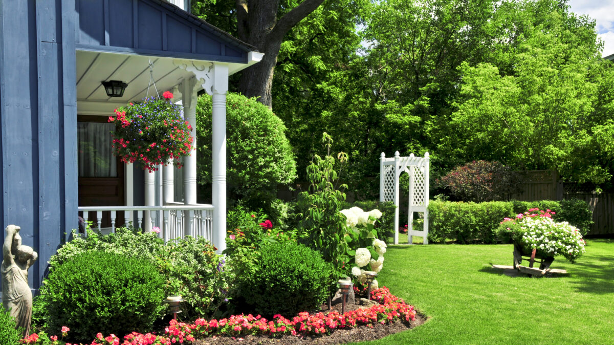 Interzis dacă ai casă la curte. Copacii pe care nu trebuie să-i plantați niciodată