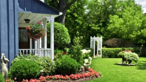 Copacii care nu trebuie plantați aproape de casă. Ce recomandă specialiștii pentru evitarea riscurilor