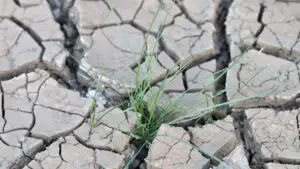 Secetă, râuri secate și fenomene extreme: Cât de gravă este criza apei 