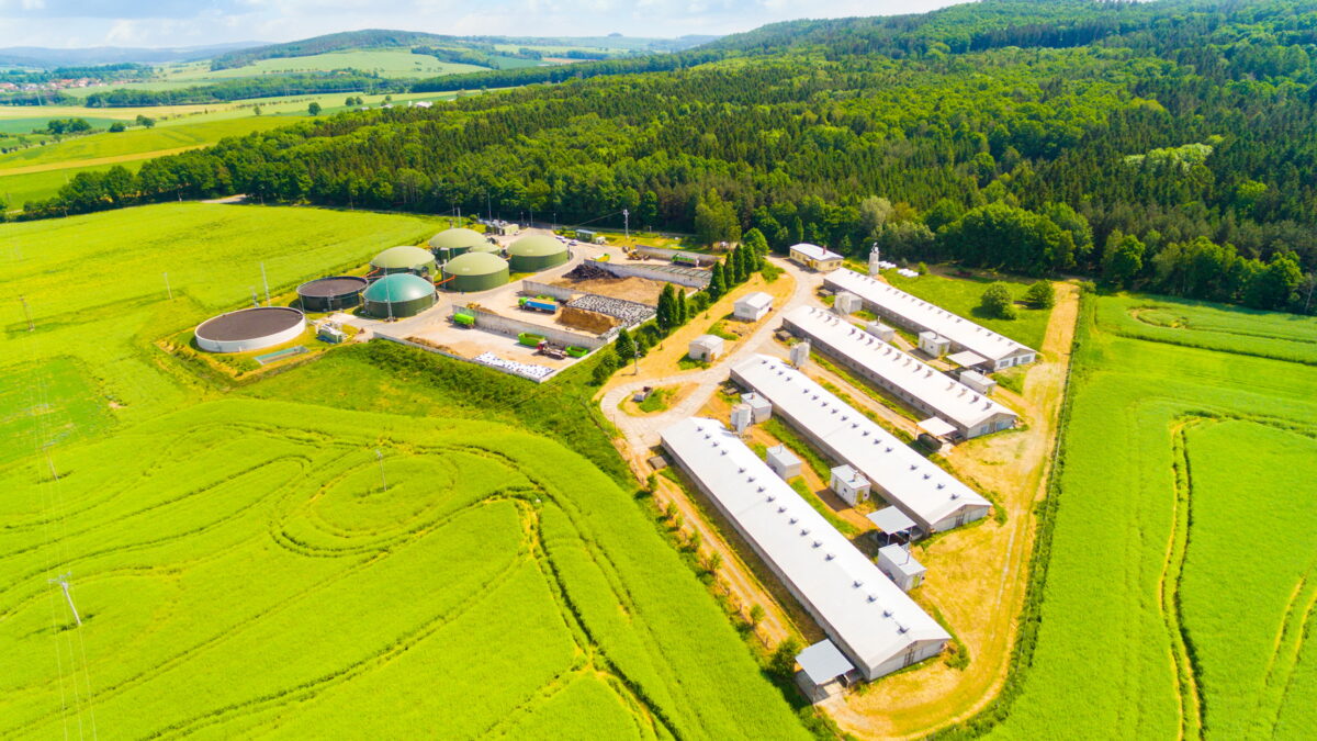 Biogazul, „capcană verde”. Un raport european acuză UE că investeşte 37 de miliarde de euro în biogaz fără garanţii de mediu