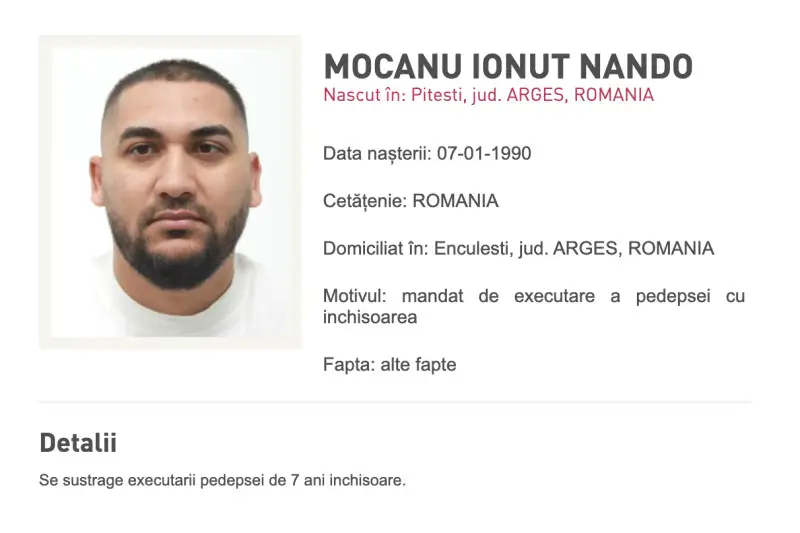 Fratele lui Dani Mocanu