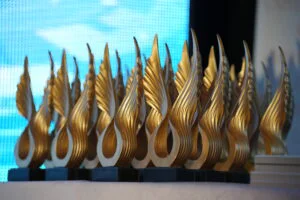 Gala Capital Performeri din Sănătate, ediția 2025