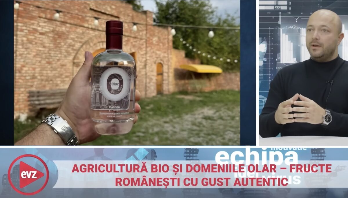 Lemn, livezi și pălincă premium: modelul unic de business al fraților Olar