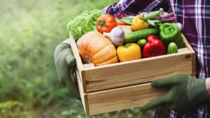 Prognoza agrometeorologică 15-21 noiembrie condiții bune pentru lucrările agricole de toamnă. Când va începe să ningă