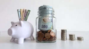 Proiectul rectificării bugetare publicat de Ministerul Finanțelor