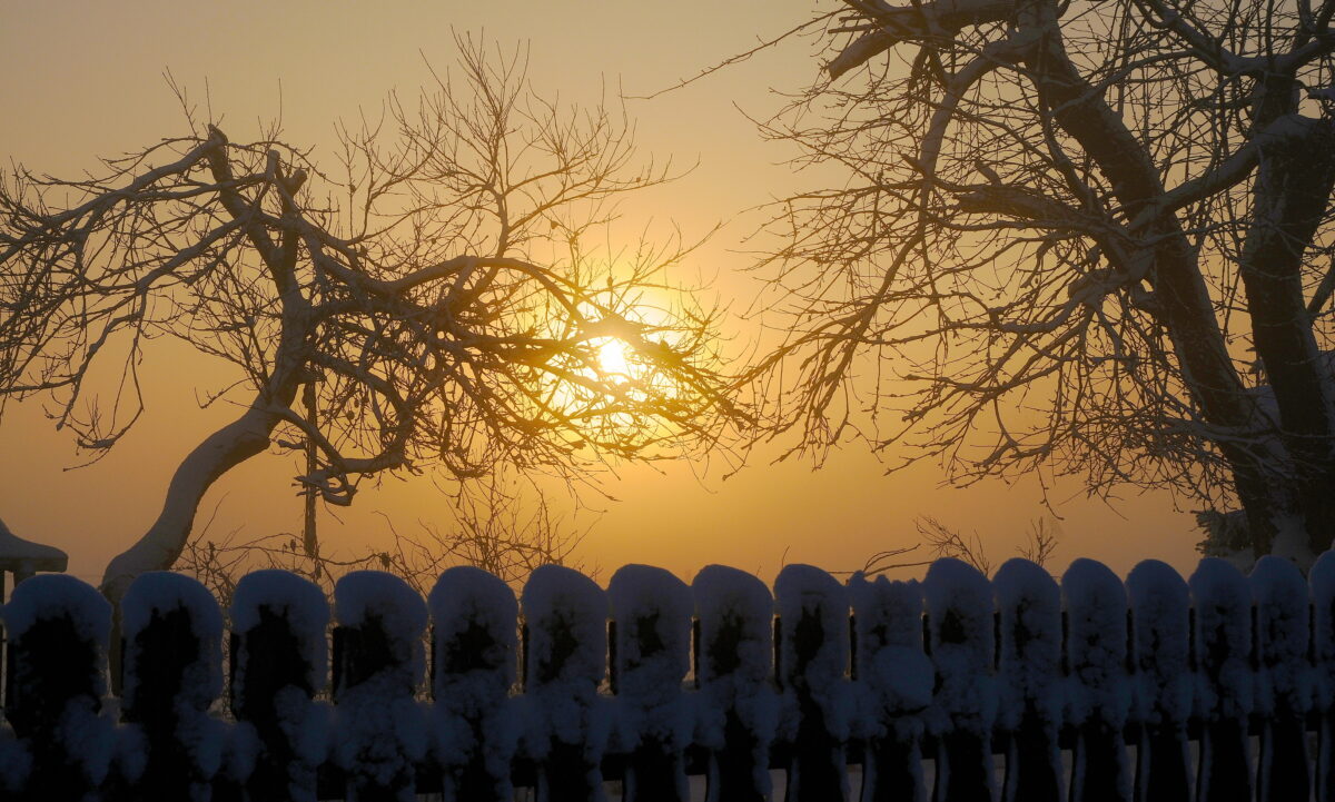Reguli pentru românii cu casa la curte. Lege pentru gard și pomii din curtea vecinului. Se poate dispune executare silită