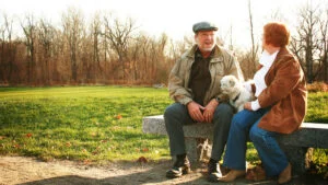 Românii care pot ieși mai devreme la pensie. Legea le recunoaște și perioadele fără contribuție