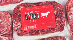 UE schimbă regulile pentru alimentele modificate genetic. Mâncare creată în laborator, pe rafturile magazinelor: Este un atac fundamental