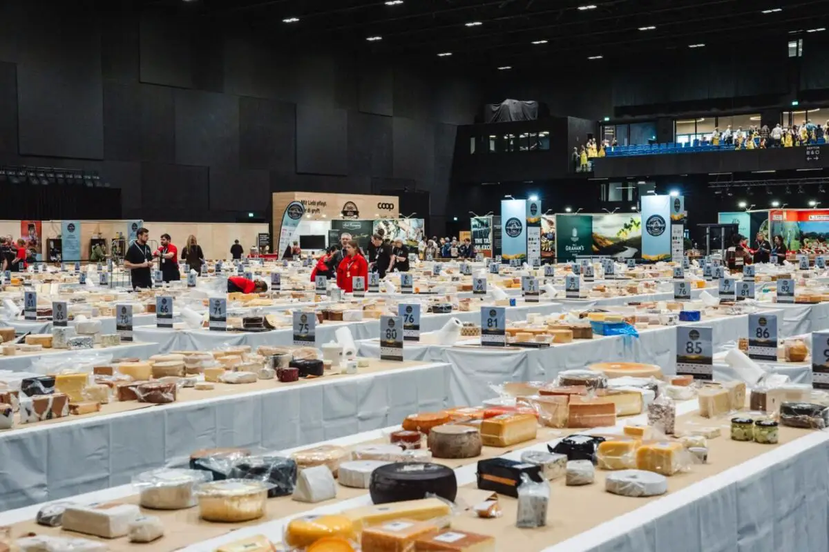 World Cheese Awards 2025