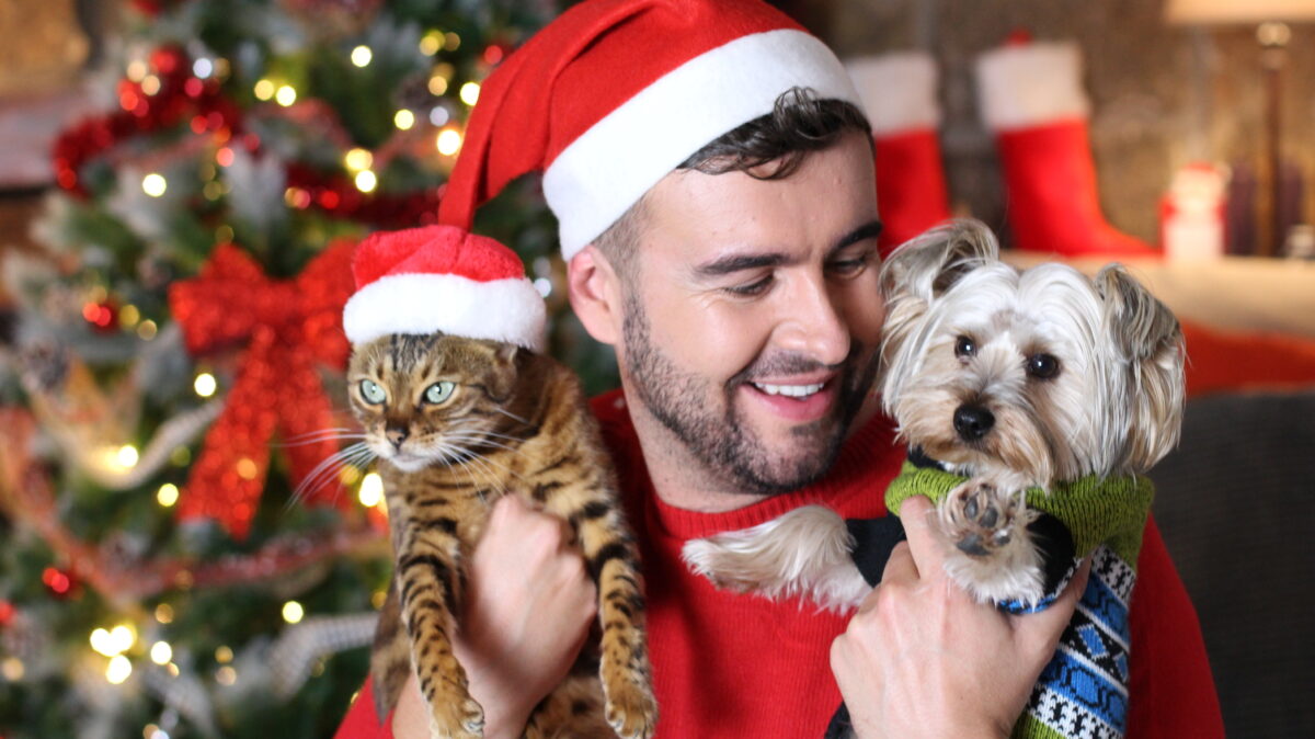 animale de companie, sarbatori, catel, pisica, stapan