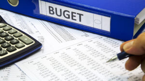 buget, buget national, buget România