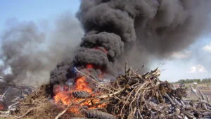 deseuri, arderi ilegale