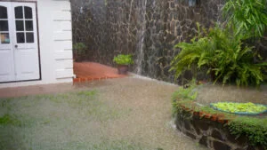 inundatie ploaie curte