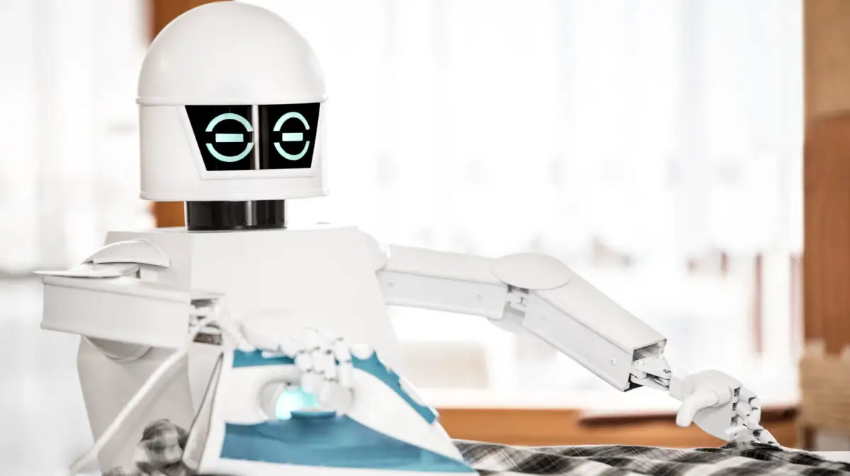 robot domestic, robot