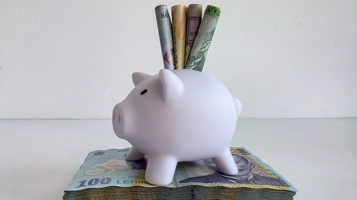 Informație pentru cei care vor să economisească mai mulți bani. Metoda 50/30/20 este cea mai folosită. Cum se împart veniturile