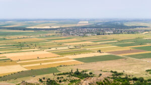 Agricultura României, un gigant cu picioare de lut. Paradoxul producțiilor record și al dependenței de importuri