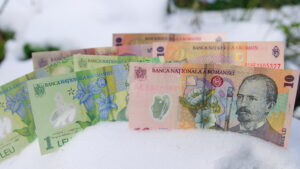 Bani, bancnote în zăpadă