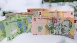 Bani, bancnote în zăpadă