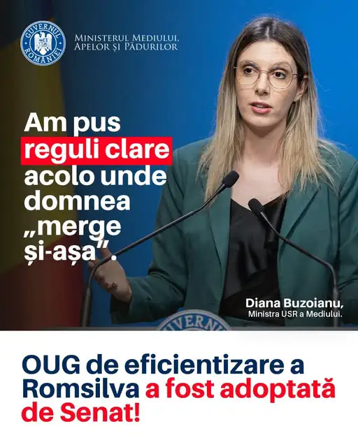 Diana Buzoianu, reforma Romsilva