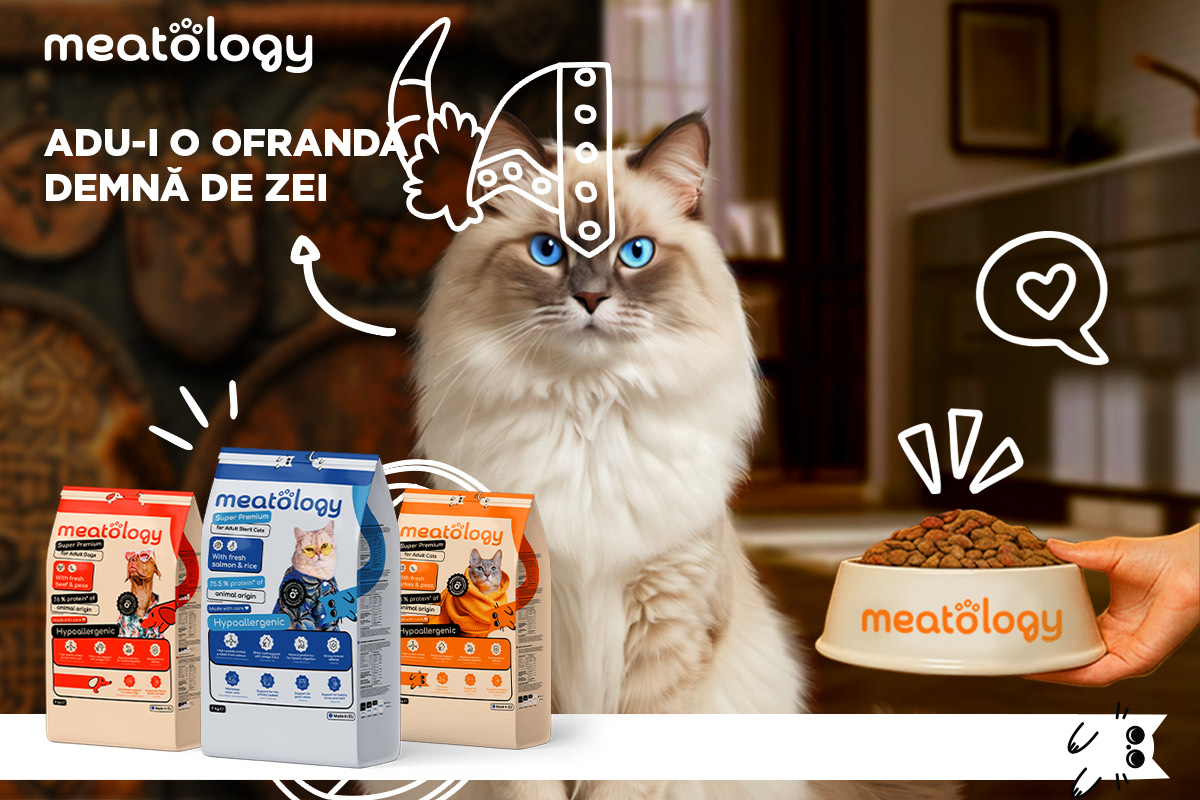 Meatology: brandul românesc super premium cu un model de business bazat pe expertiză medicală și formulare responsabilă (P)