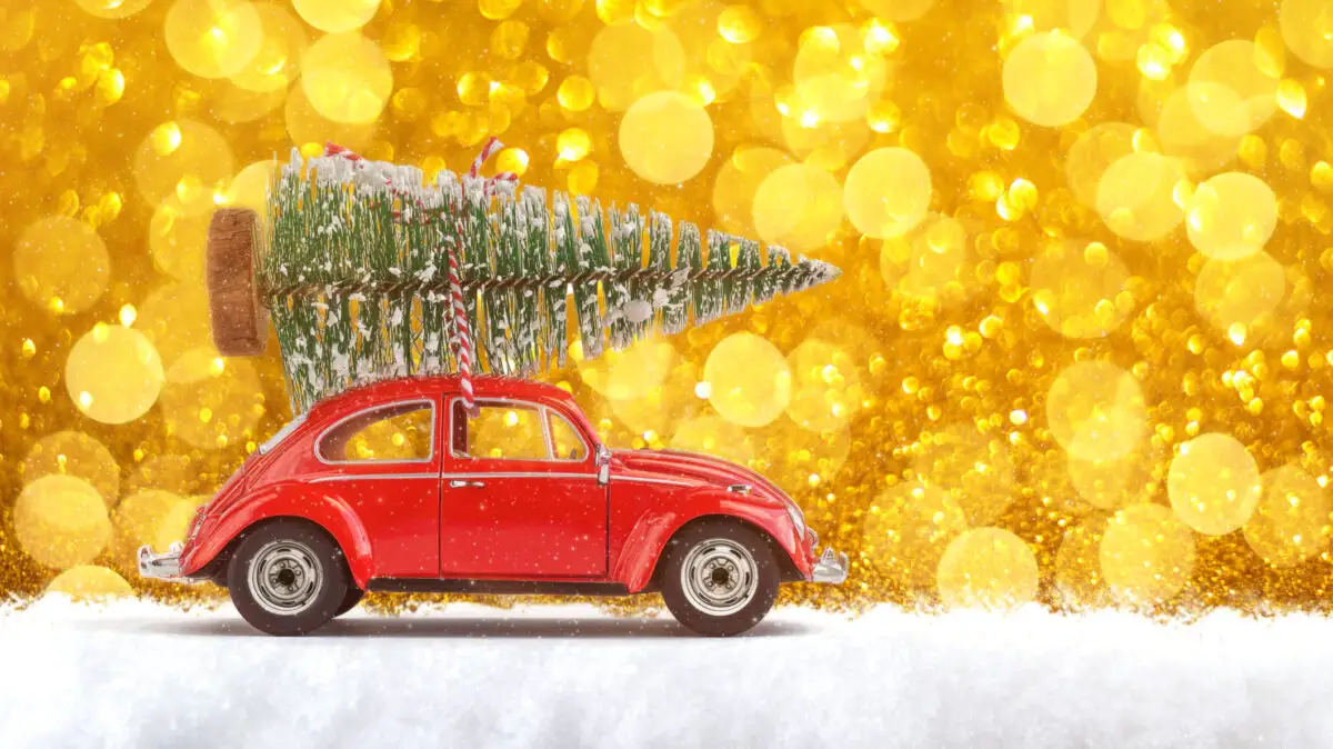 ornamente festive