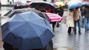 Ploaie, oameni cu umbrele