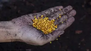Măsura care va crește costurile pentru fiecare fermier. Noua taxă de carbon pentru îngrăşăminte intră în vigoare de la 1 ianuarie 2026