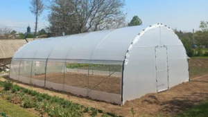 Crește interesul pentru solarii în România. Răzvan Pătrașcu, fondatorul Bacas Farm: Tinerii renunță la supermarket și își cultivă hrana în solarii