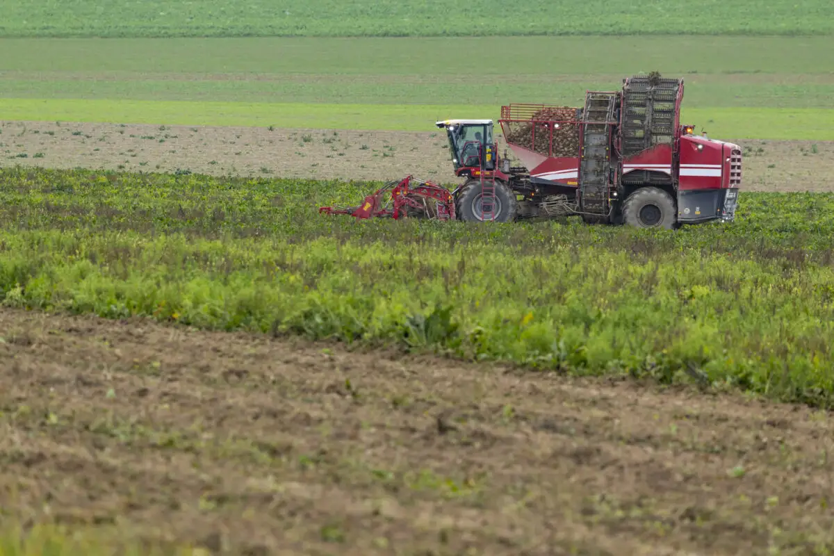 Prognoza ANM pentru agricultură. Condiții bune pentru culturi, dar risc de secetă în unele regiuni