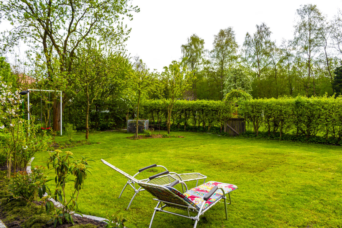 Casă la curte, gard viu, copaci