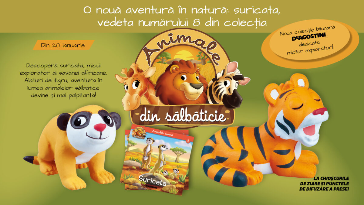O nouă aventură în natură: suricata, vedeta numărului 8 din colecția „Animale din sălbăticie”