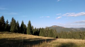 Munții Apuseni, zona Padiș