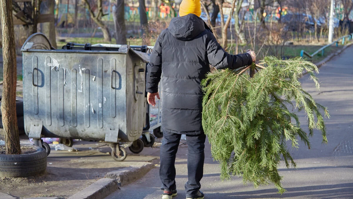 Amenzi în ianuarie din cauza brazilor de Crăciun. Unde trebuie duși după Sărbători. Ghid pentru bucureșteni