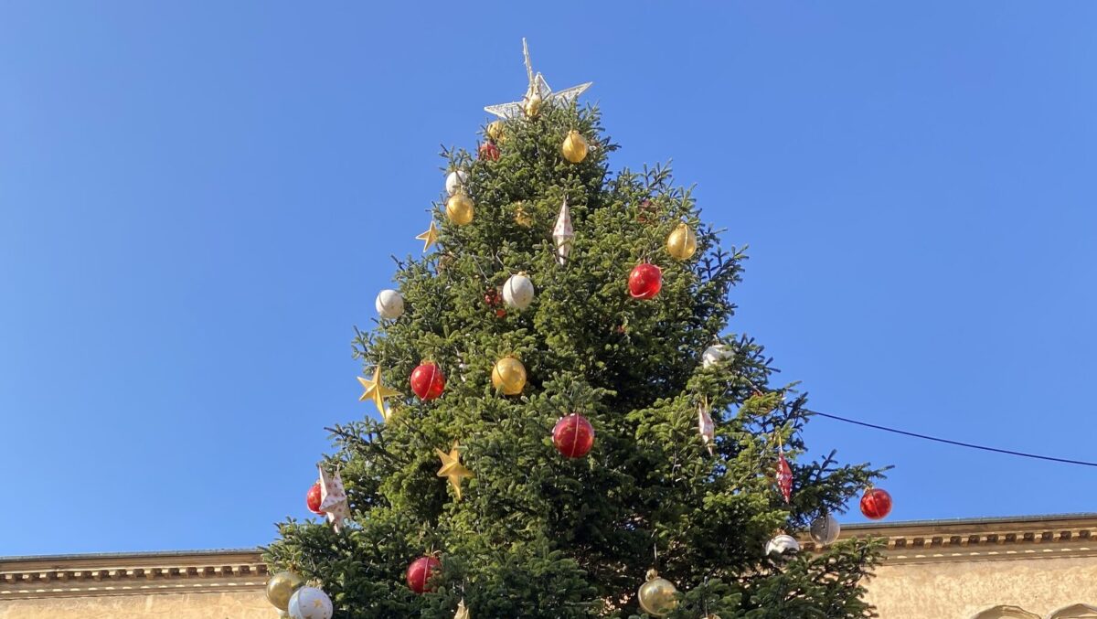 Brazii de Crăciun, colectați gratuit până pe 15 ianuarie. Decizia primăriei după sărbătorile de iarnă