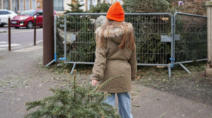 brazi de craciun, reciclare brazi