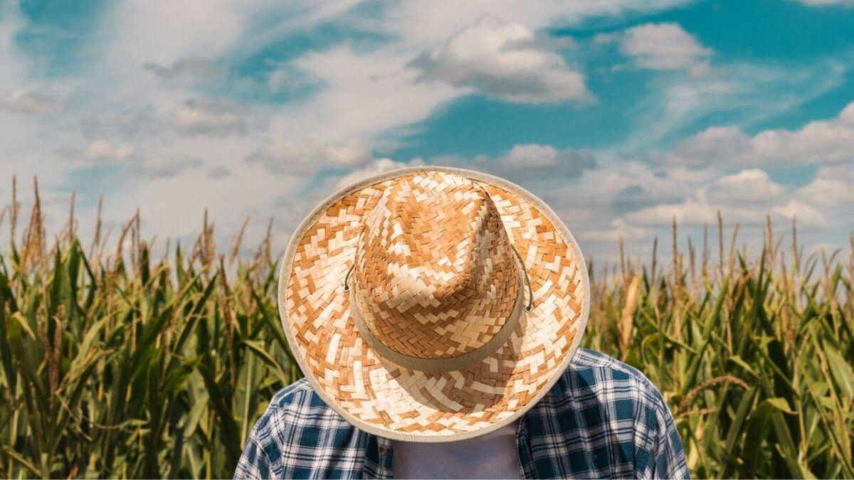 A fost 2025 anul insolvențelor în agricultură?